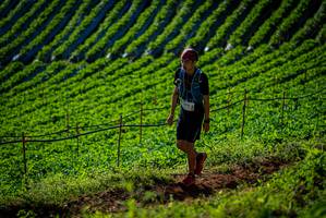 BIB: 
                            <button type="button" onclick="openModal(19160714)" class="btn btn-primary btn-sm float-right btn-popup" data-toggle="modal" data-target=".modal-high-quality">
                        <i class="fas fa-shopping-cart"></i> Add to Cart
                    </button>
                                            <button type="button" onclick="isThisMe(19160714, true)" class="btn btn-success btn-sm float-right btn-popup btn-isme hidden" data-toggle="tooltip" data-placement="bottom" title="นี่คือรูปของคุณใช่ไหม คลิกที่นี่เพื่อเอาเข้าอัลบั้ม">
                        <i class="fas fa-plus"></i> Add to album
                    </button>
                    <button type="button" onclick="isThisMe(19160714, false)" class="btn btn-warning btn-sm float-right btn-popup btn-isnotme hidden">
                        <i class="fas fa-ban"></i> Remove from album
                    </button>